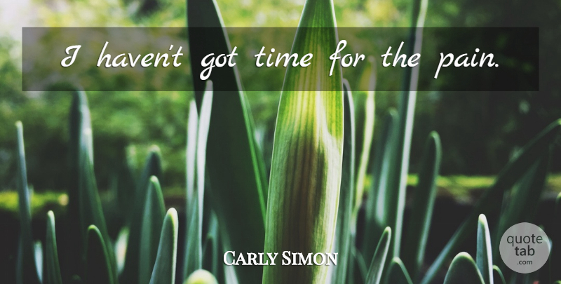 Carly Simon Quote About Pain, Sadness, Havens: I Havent Got Time For...
