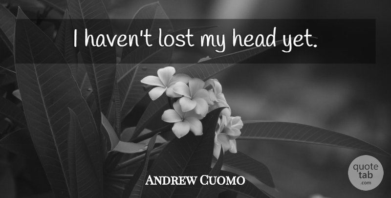 Andrew Cuomo Quote About Lost, Havens: I Havent Lost My Head...