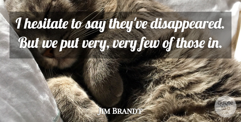 Jim Brandt Quote About Few, Hesitate: I Hesitate To Say Theyve...