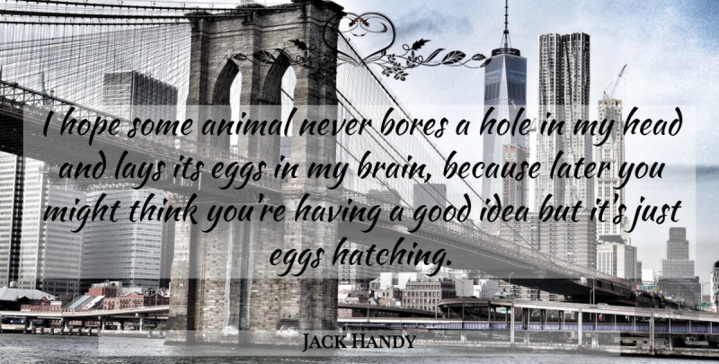 Jack Handy Quote About Animal, Bores, Eggs, Good, Head: I Hope Some Animal Never...