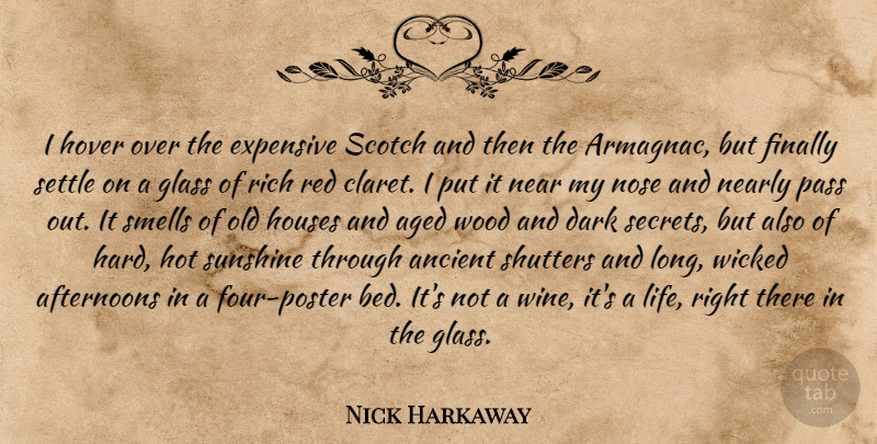Nick Harkaway Quote About Wine, Sunshine, Dark: I Hover Over The Expensive...