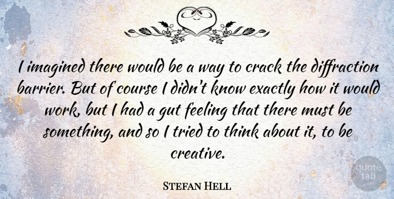 Stefan Hell Quote About Course, Crack, Exactly, Gut, Imagined: I Imagined There Would Be...