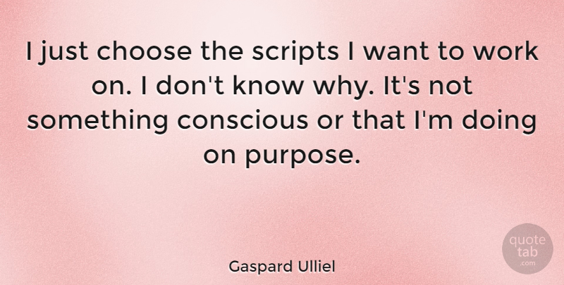 Gaspard Ulliel Quote About Want, Scripts, Purpose: I Just Choose The Scripts...