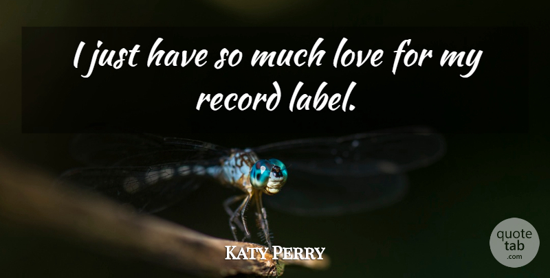 Katy Perry Quote About Labels, Records, Record Labels: I Just Have So Much...