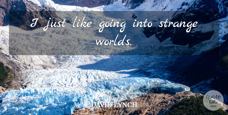 David Lynch Quote About World, Strange, Relay Races: I Just Like Going Into...