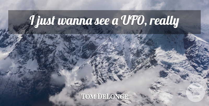Tom DeLonge Quote About Ufo: I Just Wanna See A...