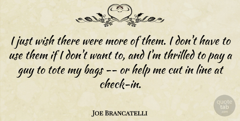 Joe Brancatelli Quote About Bags, Cut, Guy, Help, Line: I Just Wish There Were...
