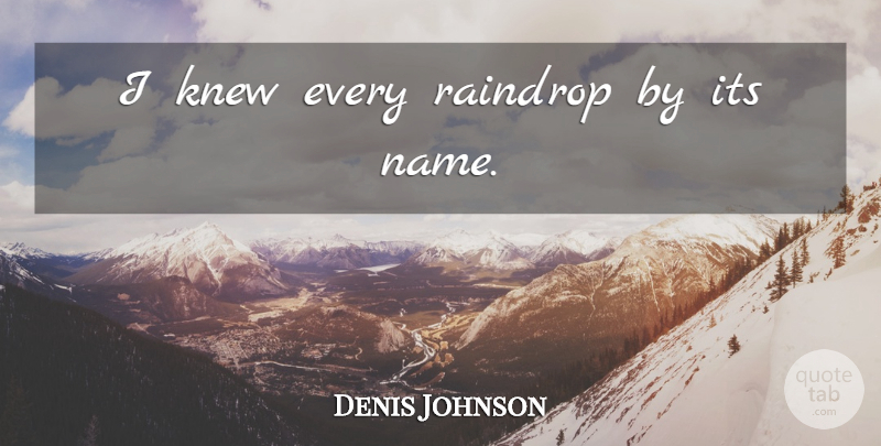 Denis Johnson Quote About Names, Raindrops: I Knew Every Raindrop By...