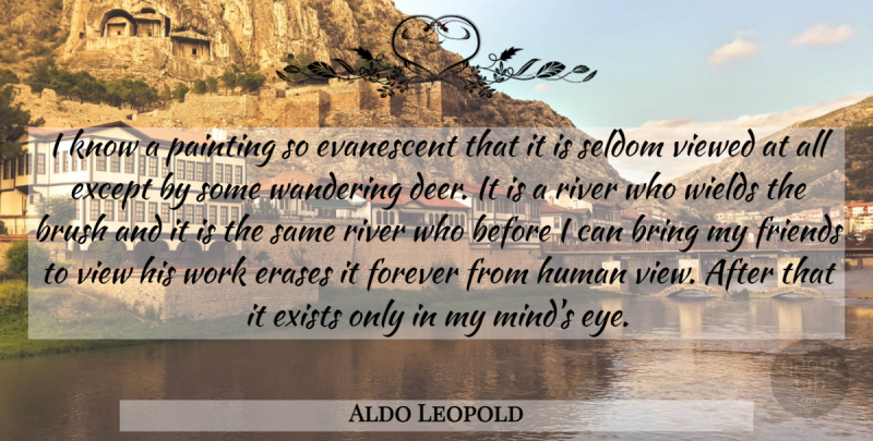 Aldo Leopold Quote About Eye, Views, Rivers: I Know A Painting So...