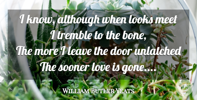 William Butler Yeats Quote About Sex, Love Is, Doors: I Know Although When Looks...