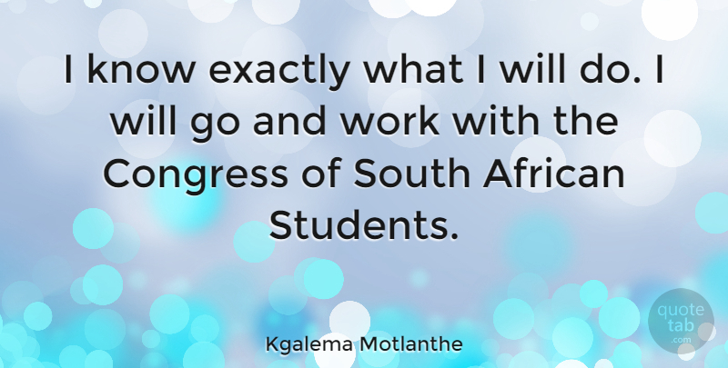 Kgalema Motlanthe Quote About African, Congress, Exactly, South, Work: I Know Exactly What I...