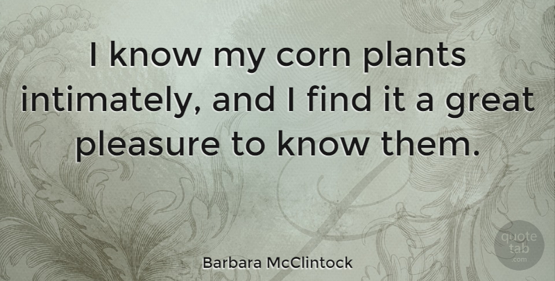 Barbara McClintock Quote About Corn, Great: I Know My Corn Plants...