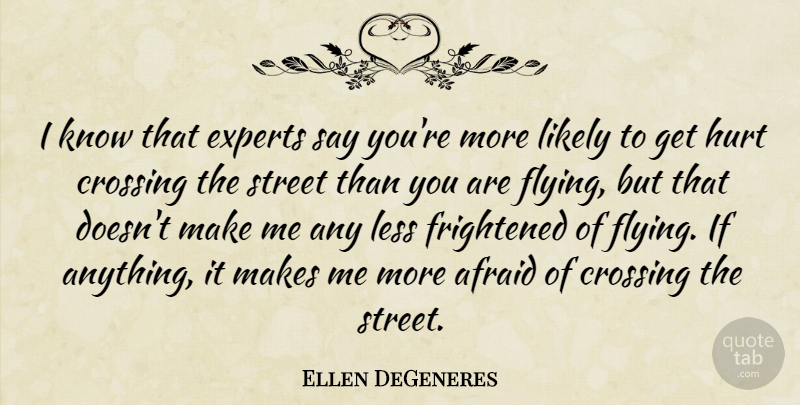 Ellen DeGeneres Quote About Hurt, Flying, Experts: I Know That Experts Say...