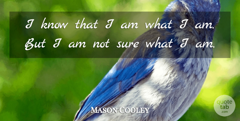 Mason Cooley Quote About I Am What I Am, Not Sure, Knows: I Know That I Am...