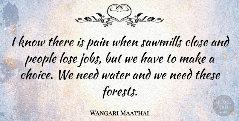 Wangari Maathai Quote About Jobs, Pain, Water: I Know There Is Pain...