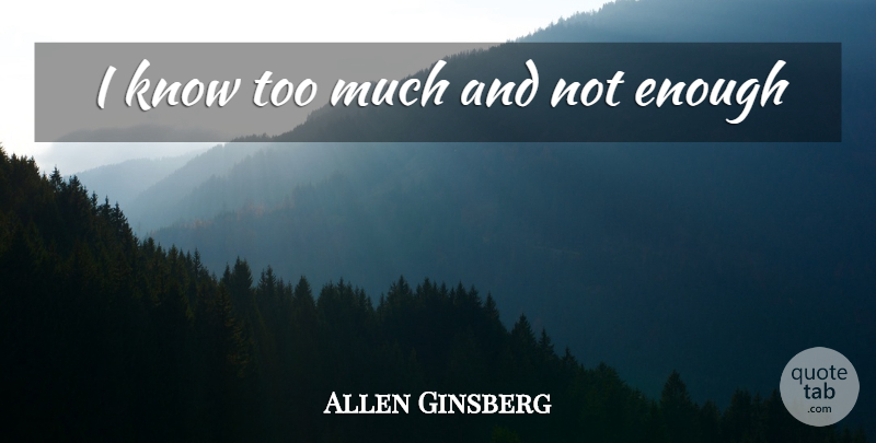 Allen Ginsberg Quote About Too Much, Enough, Knows: I Know Too Much And...