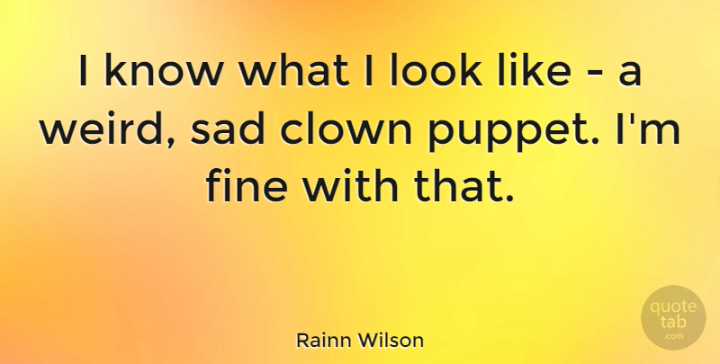 Rainn Wilson Quote About Puppets, Looks, Clown: I Know What I Look...