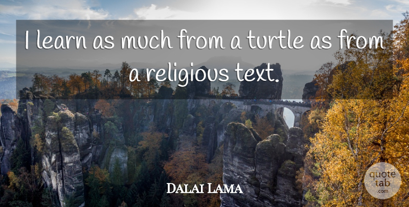 Dalai Lama Quote About Religious, Learning, Turtles: I Learn As Much From...