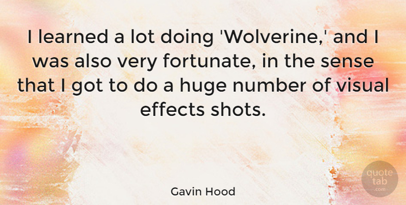 Gavin Hood Quote About Effects, Huge: I Learned A Lot Doing...
