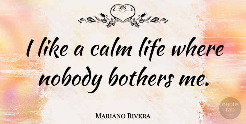 Mariano Rivera Quote About Calm, Bother: I Like A Calm Life...
