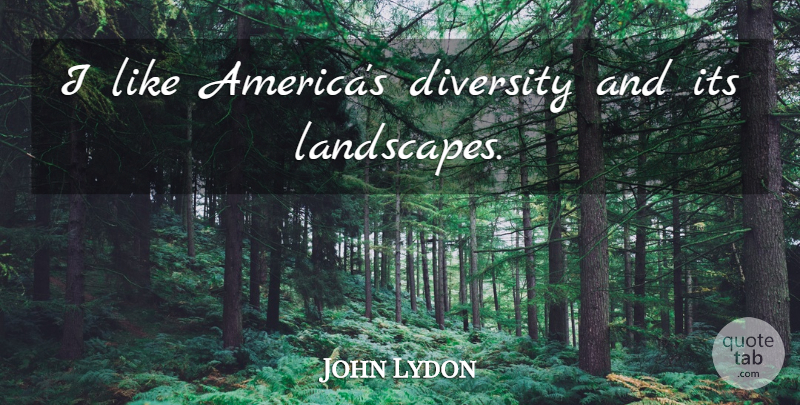John Lydon Quote About America, Diversity, Landscape: I Like Americas Diversity And...