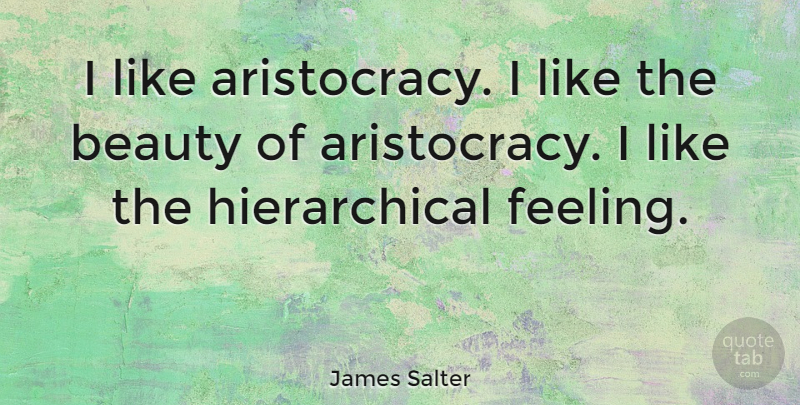 James Salter Quote About Feelings, Aristocracy: I Like Aristocracy I Like...