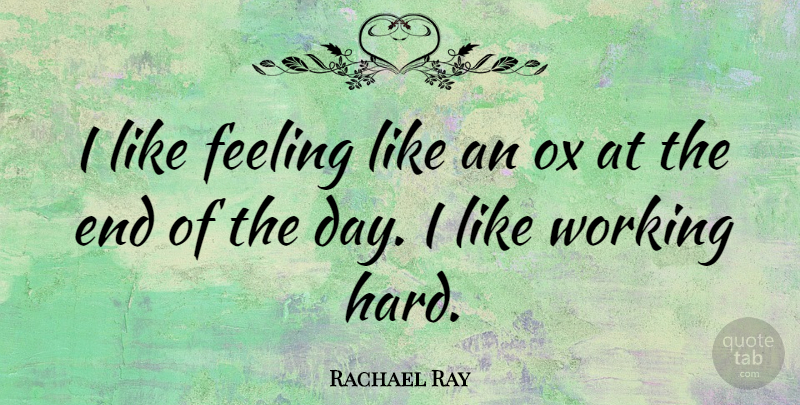 Rachael Ray Quote About Work, Feelings, The End Of The Day: I Like Feeling Like An...