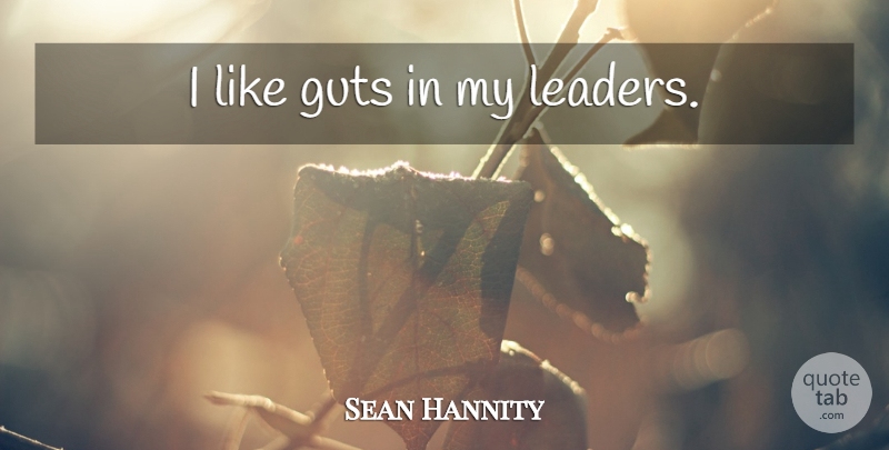 Sean Hannity Quote About Leader, Guts: I Like Guts In My...
