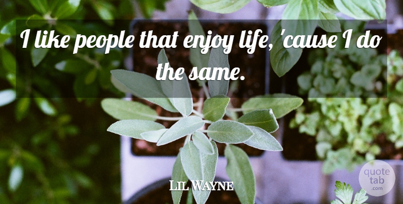 Lil Wayne Quote About Inspiration, People, Enjoy Life: I Like People That Enjoy...