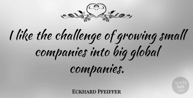 Eckhard Pfeiffer Quote About Companies, Global: I Like The Challenge Of...
