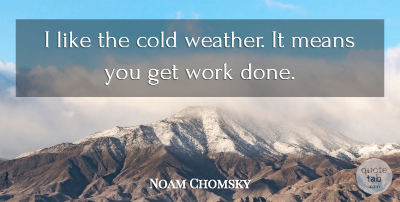 Noam Chomsky Quote About Mean, Weather, Snow: I Like The Cold Weather...