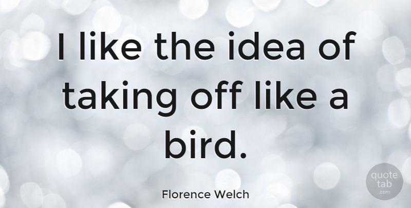 Florence Welch Quote About Ideas, Bird: I Like The Idea Of...