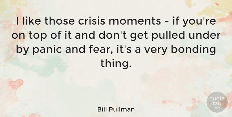 Bill Pullman Quote About Panic, Moments, Crisis: I Like Those Crisis Moments...