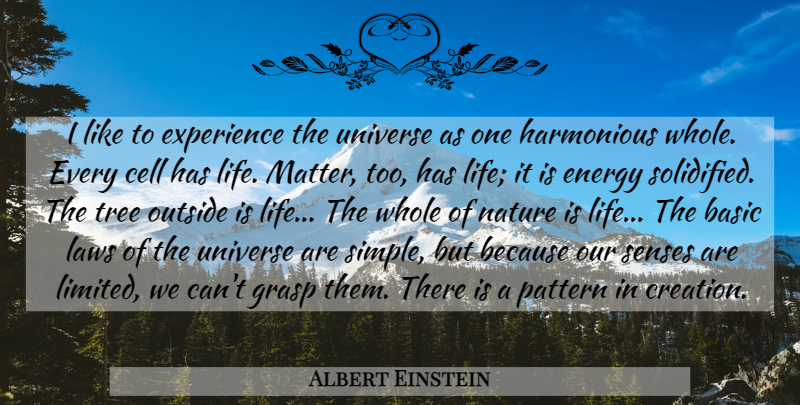 Albert Einstein Quote About Simple, Cells, Law: I Like To Experience The...