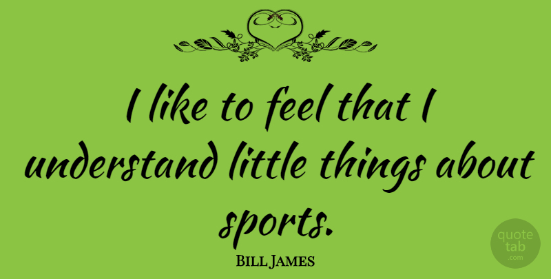 Bill James Quote About Sports, Littles, Little Things: I Like To Feel That...