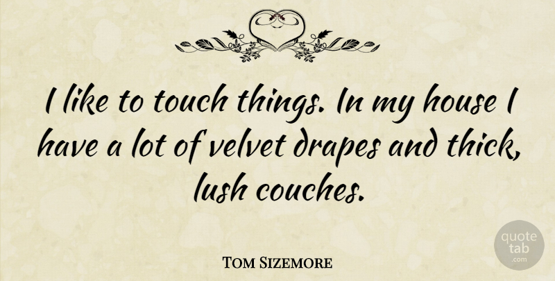 Tom Sizemore Quote About House, Velvet, Couches: I Like To Touch Things...