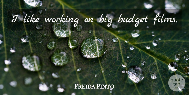 Freida Pinto Quote About Film, Bigs, Budgets: I Like Working On Big...