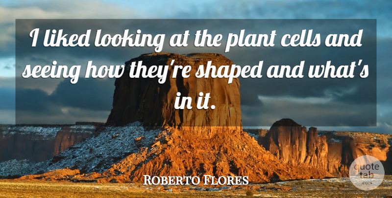 Roberto Flores Quote About Cells, Liked, Looking, Plant, Seeing: I Liked Looking At The...