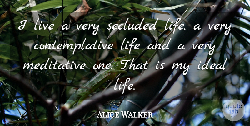 Alice Walker Quote About Life: I Live A Very Secluded...