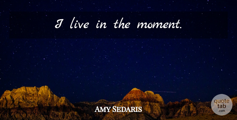 Amy Sedaris Quote About Live In The Moment, Moments: I Live In The Moment...