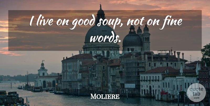 Moliere Quote About Food, Literature, Soup: I Live On Good Soup...