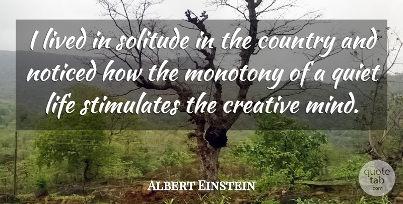 Albert Einstein Quote About Country, Creative, Creativity, Life, Lived: I Lived In Solitude In...
