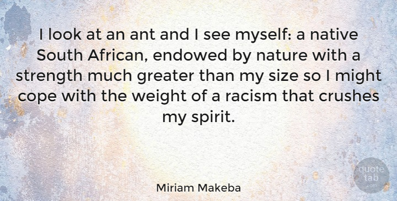 Miriam Makeba Quote About Crush, Nature, Racism: I Look At An Ant...