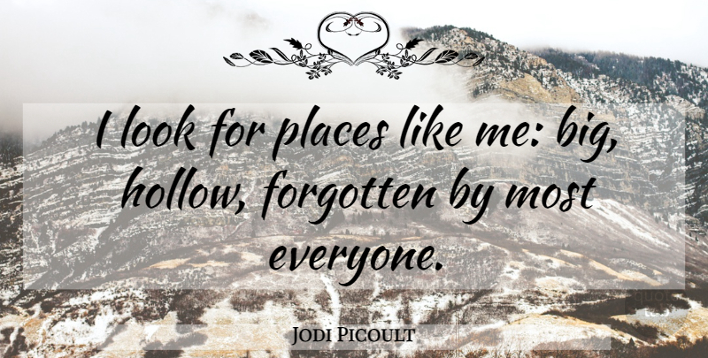 Jodi Picoult Quote About Looks, Forgotten, Bigs: I Look For Places Like...