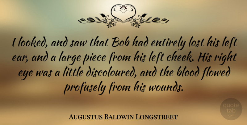 Augustus Baldwin Longstreet Quote About Bob, Entirely, Large, Left, Piece: I Looked And Saw That...