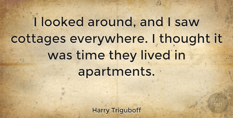 Harry Triguboff Quote About Looked, Saw, Time: I Looked Around And I...