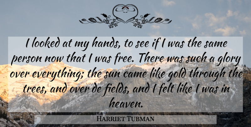 Harriet Tubman Quote About Came, Felt, Freedom, Glory, Gold: I Looked At My Hands...