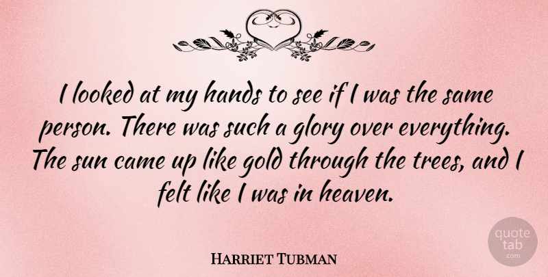 Harriet Tubman Quote About Freedom, Hands, Tree: I Looked At My Hands...