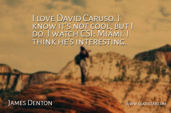James Denton Quote About Thinking, Csi, Interesting: I Love David Caruso I...
