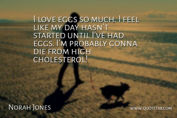 Norah Jones Quote About Eggs, Cholesterol, Feels: I Love Eggs So Much...